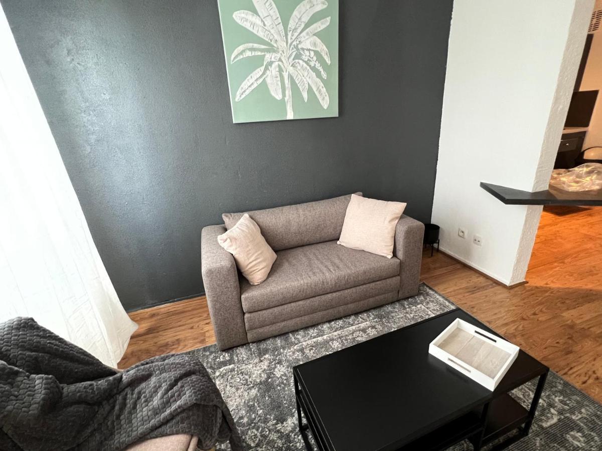 Mon Palmier Grand Appartement Parking Un-Sejour-A-Part Metz Exterior photo