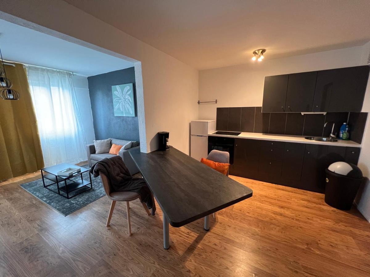 Mon Palmier Grand Appartement Parking Un-Sejour-A-Part Metz Exterior photo