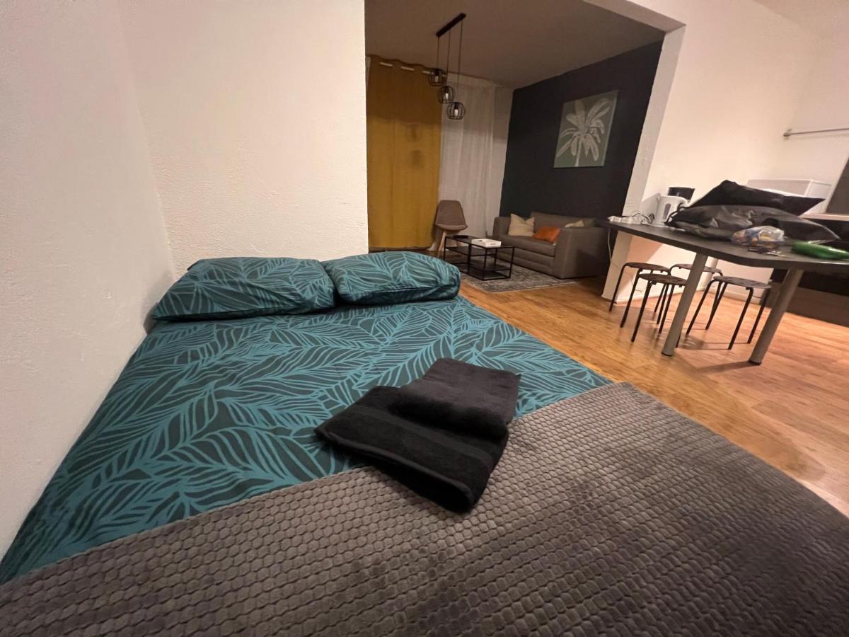 Mon Palmier Grand Appartement Parking Un-Sejour-A-Part Metz Exterior photo